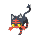 litten