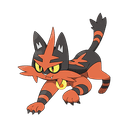 torracat