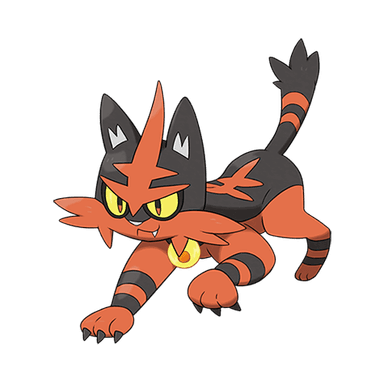 torracat