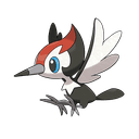 pikipek