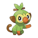 grookey